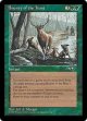 Bounty of the Hunt