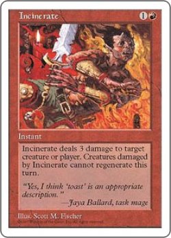 画像1: Incinerate