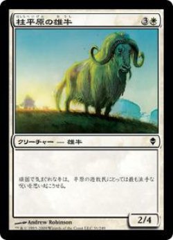 画像1: 柱平原の雄牛