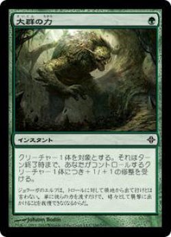 画像1: 大群の力