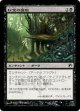 秘宝の腐敗