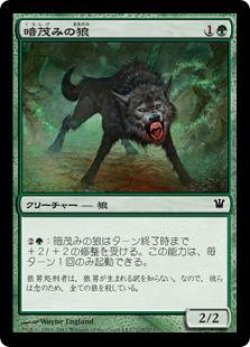 画像1: 暗茂みの狼