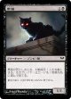 黒猫