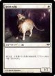 聖所の猫