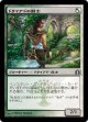 ドライアドの闘士（Ｆｏｉｌ）