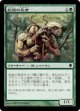 桜族の長老