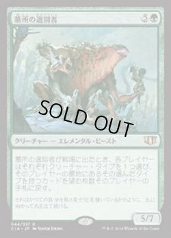 画像1: 墓所の選別者