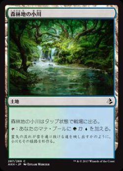 画像1: 森林地の小川