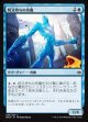 呪文持ちの奇魔