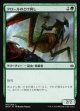 クロールのとげ刺し