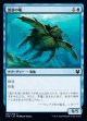激浪の亀