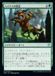 ハイドラの成長