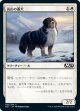 高山の番犬