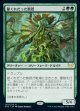 節くれだった教授