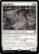 本質の媒介者