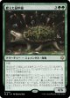 肥えた緑甲羅