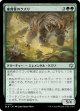 巣背骨のクズリ