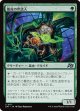 脱皮の世話人