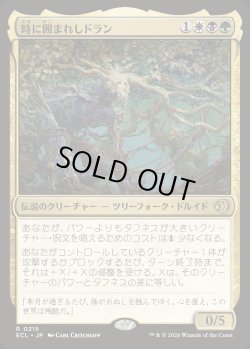 画像1: 時に囲まれしドラン