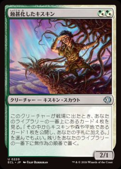 画像1: 蝕甚化したキスキン