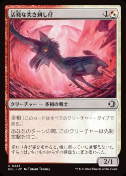 画像1: 活発な突き刺し仔