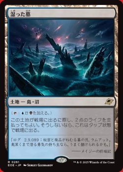画像1: 湿った墓