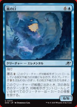 画像1: 嵐の口