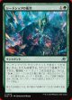 シードシップの衝突