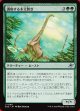 調和する木立跨ぎ