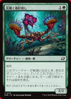 画像1: 花開く毒針刺し
