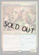 任期無期限の繋操魔道士
