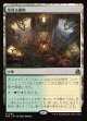 草茂る農地