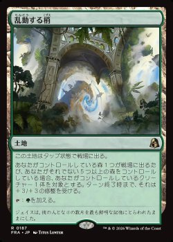 画像1: 乱動する梢