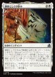 導師としての歩み