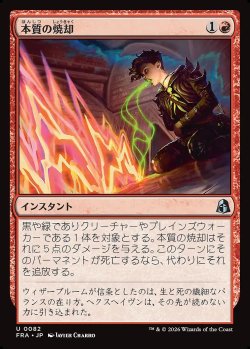 画像1: 本質の焼却