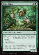 温室の繁殖者