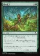獣の乱入