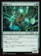 破壊ヤモリ