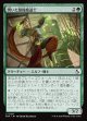 閃いた繋操魔道士