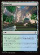 変容の広場