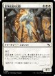 窓外放出の幻影