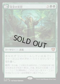 画像1: 発芽の実習