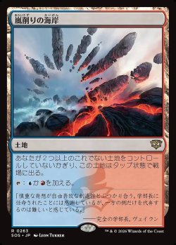 画像1: 嵐削りの海岸