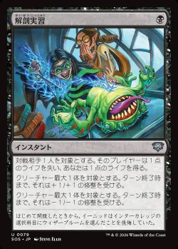 画像1: 解剖実習