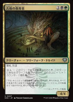 画像1: 古株の教育者