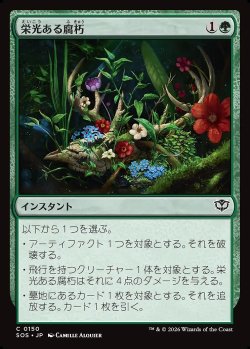 画像1: 栄光ある腐朽