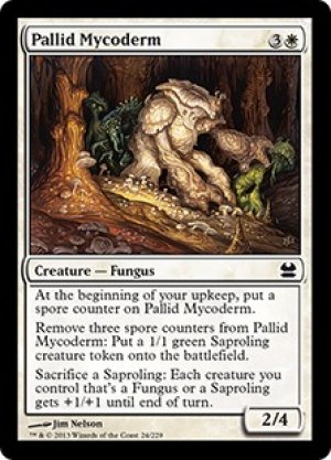 画像: Pallid Mycoderm