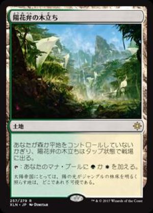 画像: 陽花弁の木立ち