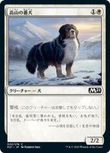 画像: 高山の番犬