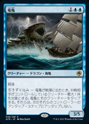画像: 竜亀